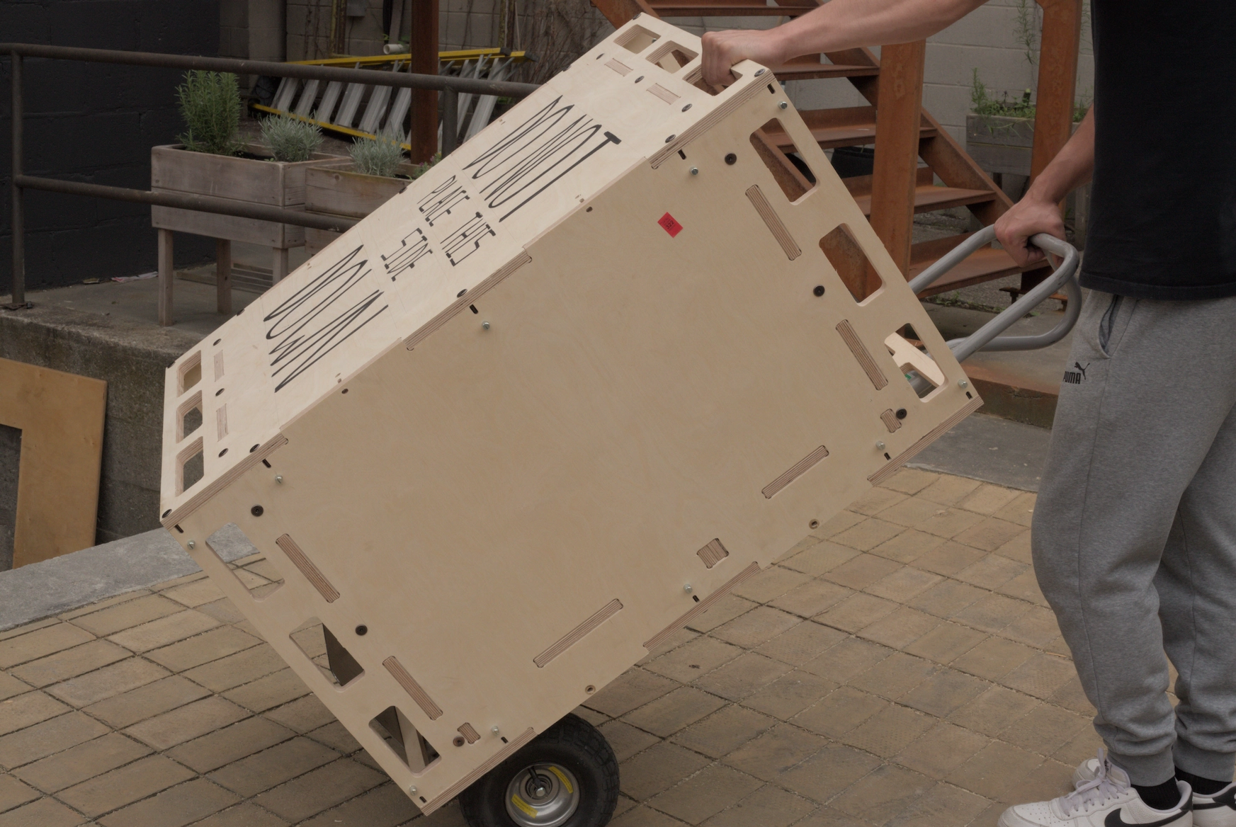 Screen plastic anatomy 00011