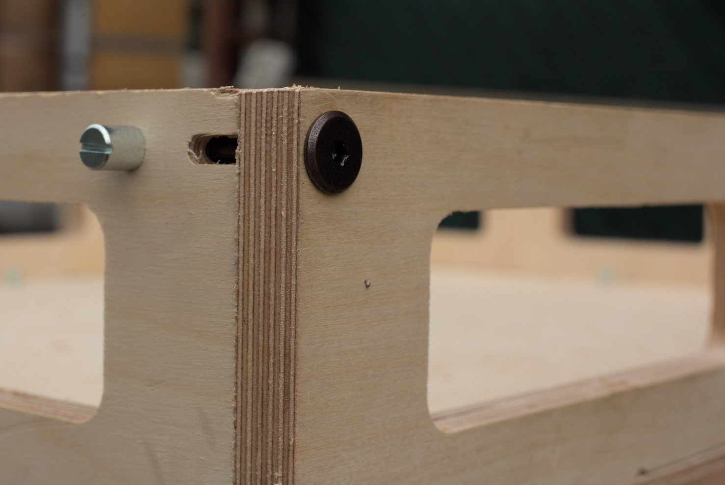 Screen plastic anatomy 00010