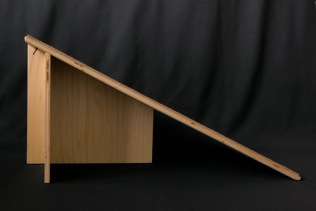 Ramp cat anatomy 00007