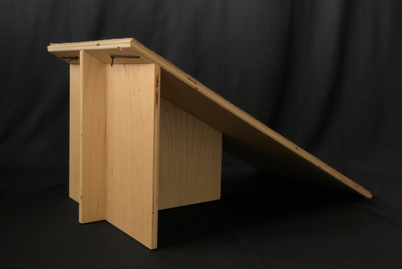 Ramp cat anatomy 00010