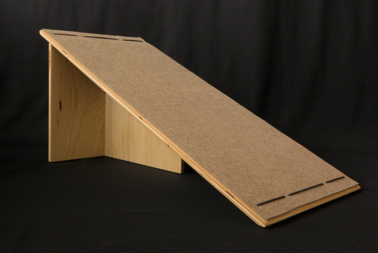 Ramp cat anatomy 00016