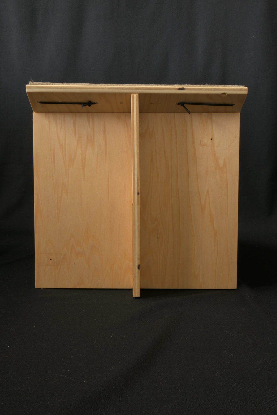 Ramp cat anatomy 00022