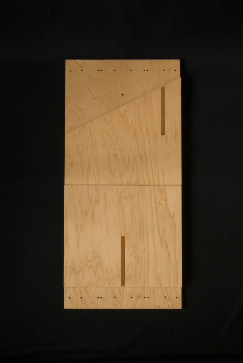 Ramp cat anatomy 00029