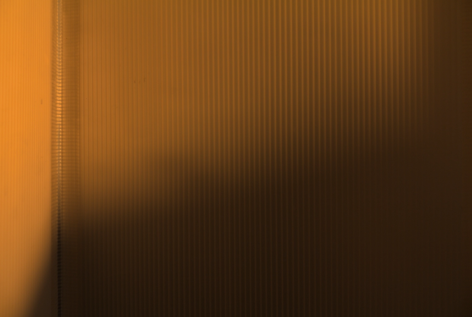 Screen plastic morning sun 00001